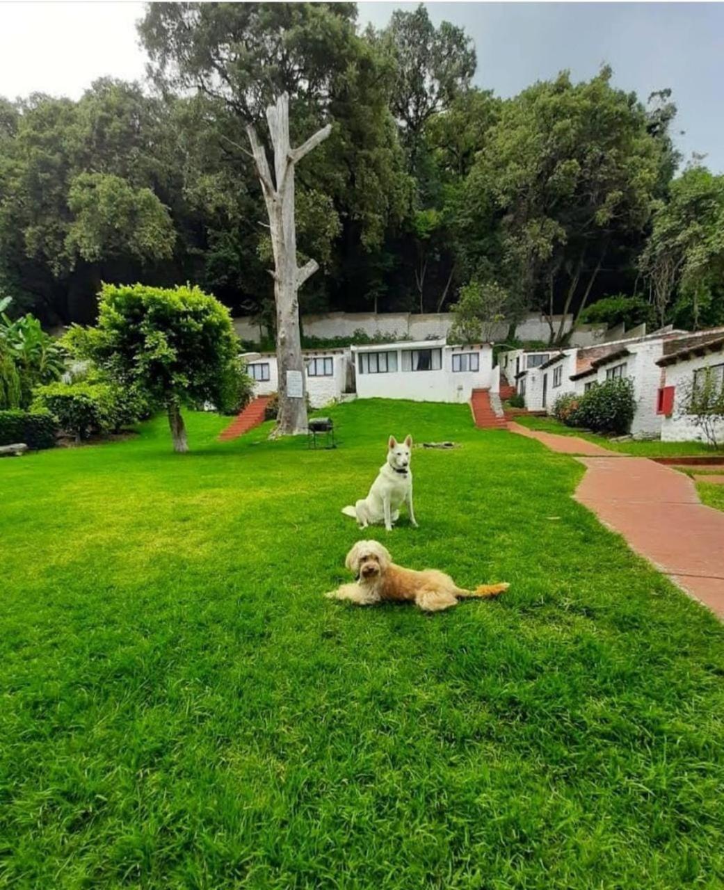 Hotel Club Santa Maria Cuernavaca Exterior foto
